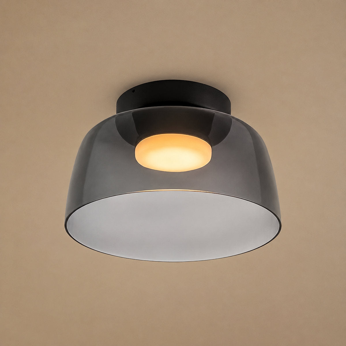 Tricolordeer Layered Tinted Glass Disc Ceiling Light