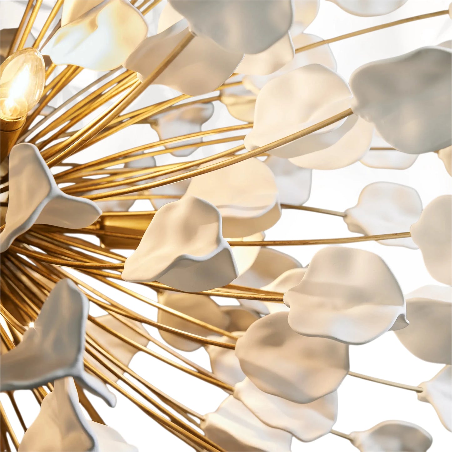 Lunaria Chandelier