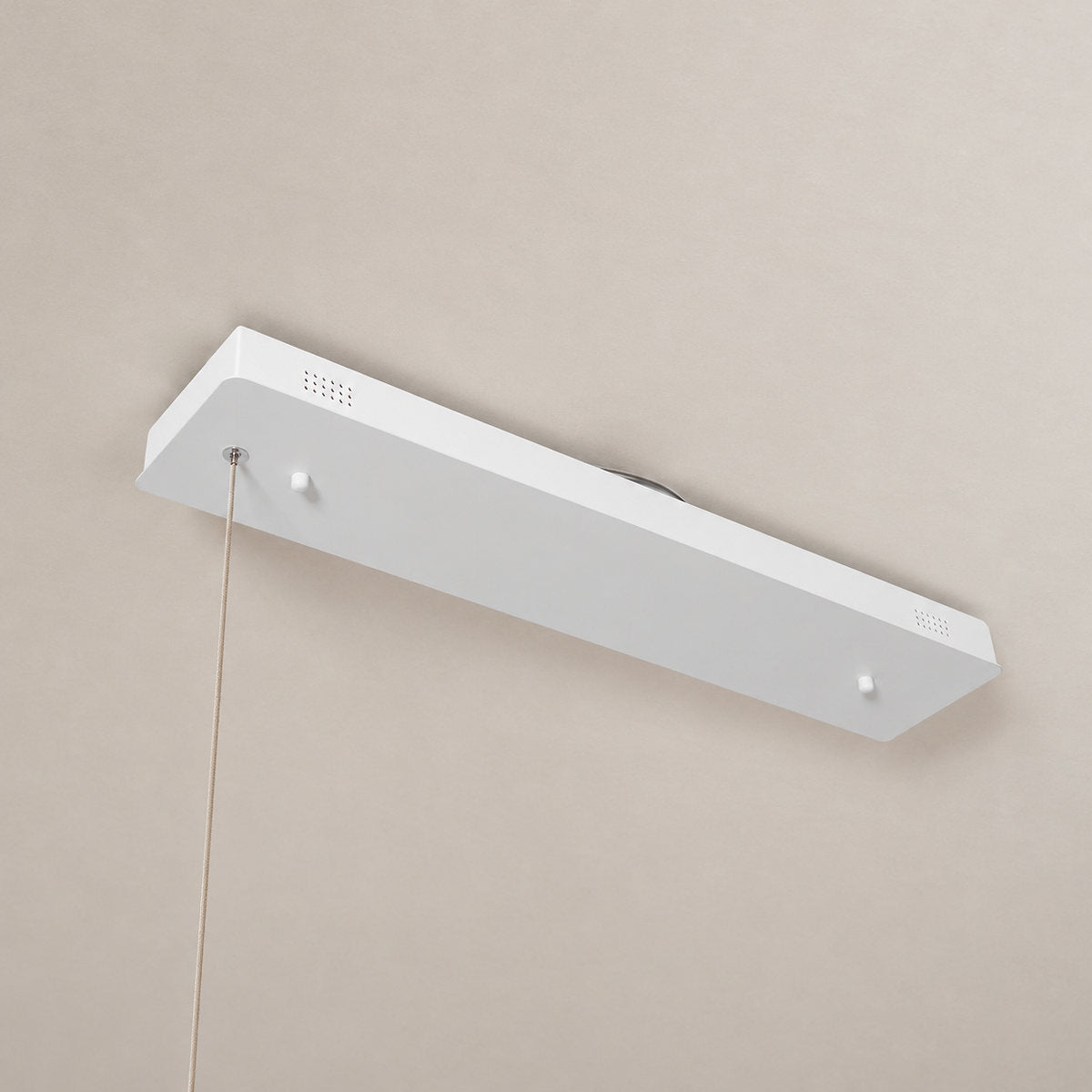 Sculpted Ash Wood Organic Branch Pendant Light