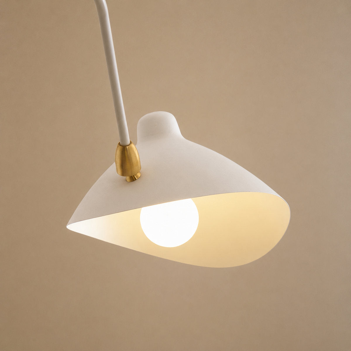 Sculptural Suspended Ceiling Light