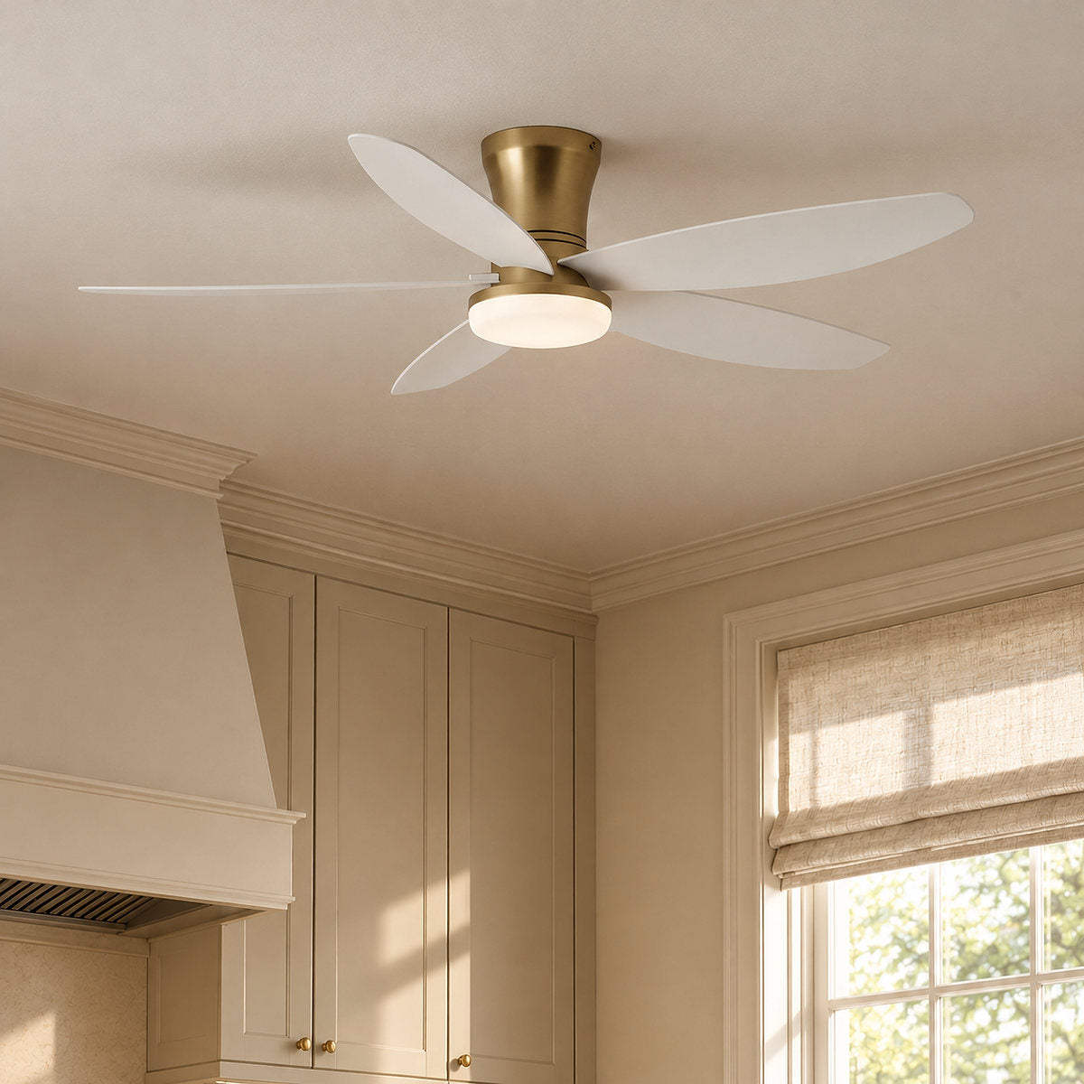 Modern LED Disc Light Flush Mount Ceiling Fan