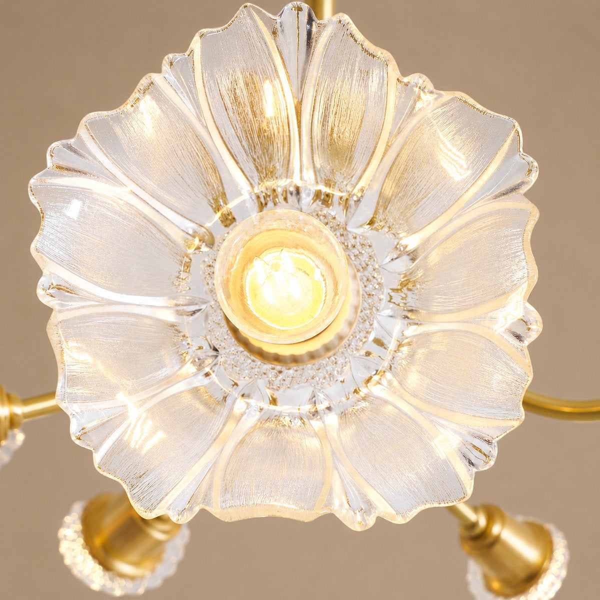 Sculptural Petal Glass Brass Chandelier