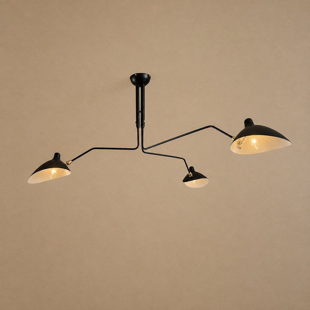 Sculptural Suspended Ceiling Light
