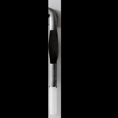 Horsehair Sconce