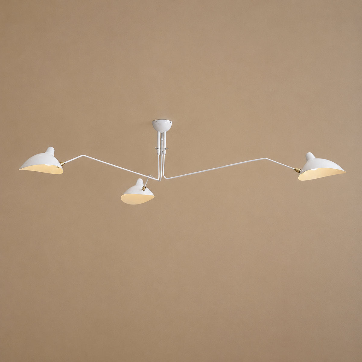Sculptural Suspended Ceiling Light