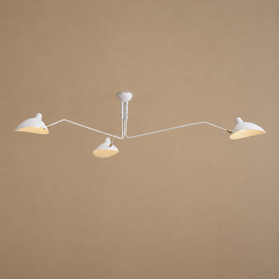 Sculptural Suspended Ceiling Light