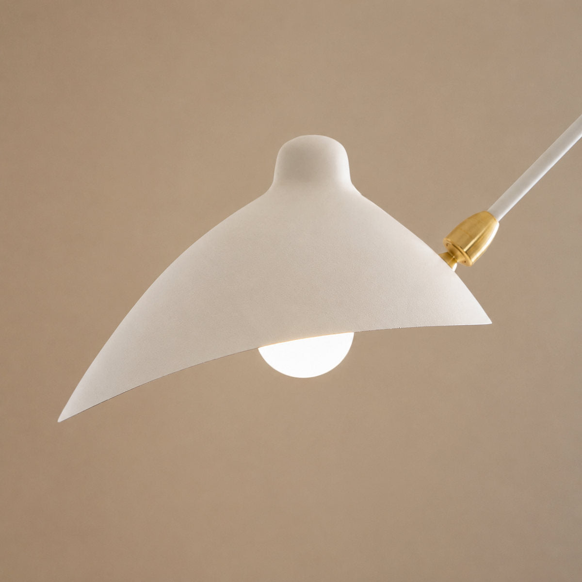 Sculptural Suspended Ceiling Light