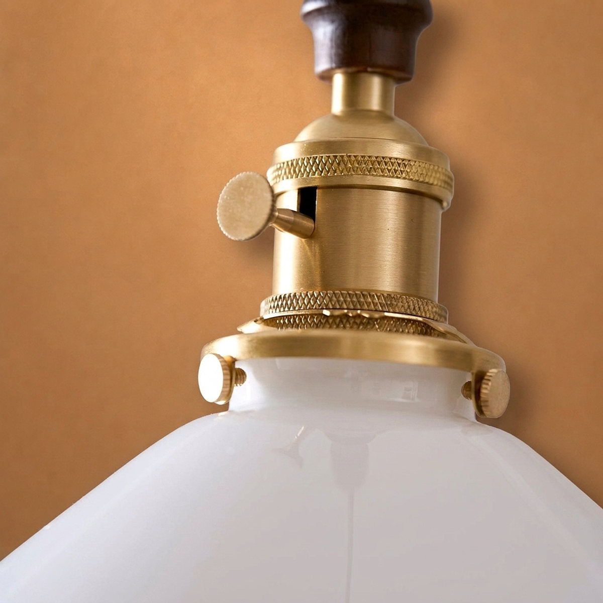Modern Walnut and Brass Pendant Light
