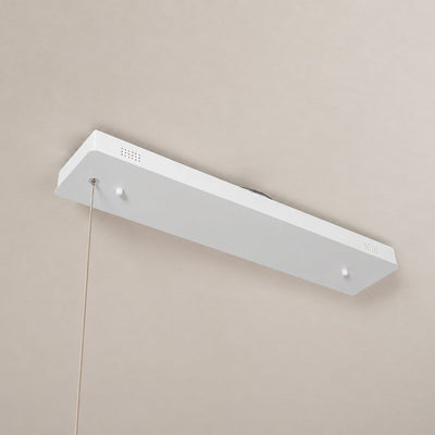 Sculpted Ash Wood Organic Branch Pendant Light