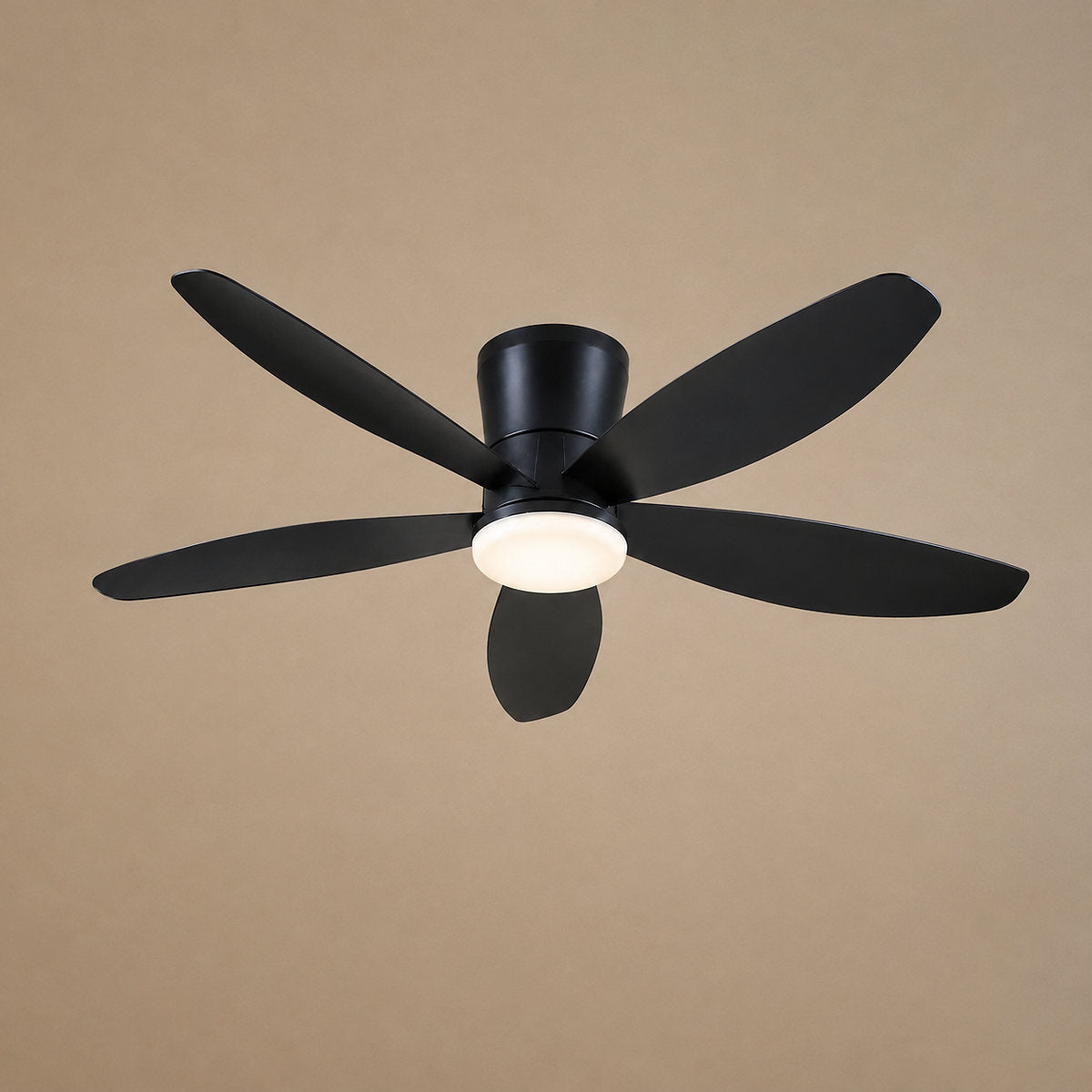 Modern LED Disc Light Flush Mount Ceiling Fan