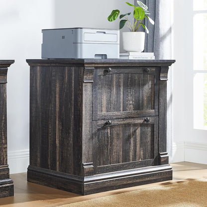 OKD Farmhouse 2-Drawer Lateral Filing Cabinet with Hanging File Folders