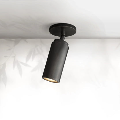 Champeau Flushmount