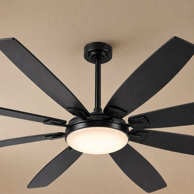 Eight-Blade LED Disc Ceiling Fan in Walnut